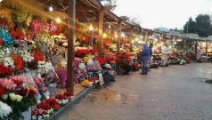 Islamabad Flower Shop